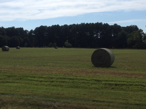 hay rounds